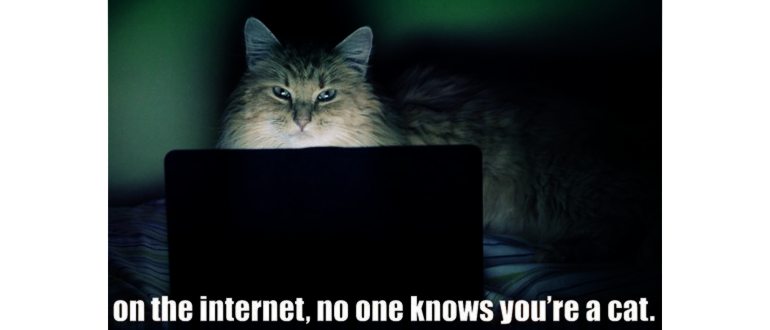 Как найти человека по IP