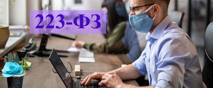 Положение о закупках по 223 ФЗ в 2024 году: содержание и особенности