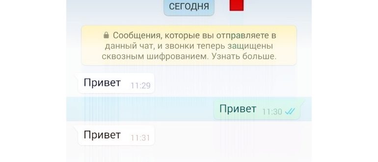 Аудиосообщения WhatsApp на