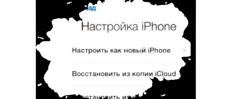 Советы о том, как доверять компьютеру на iPhone с