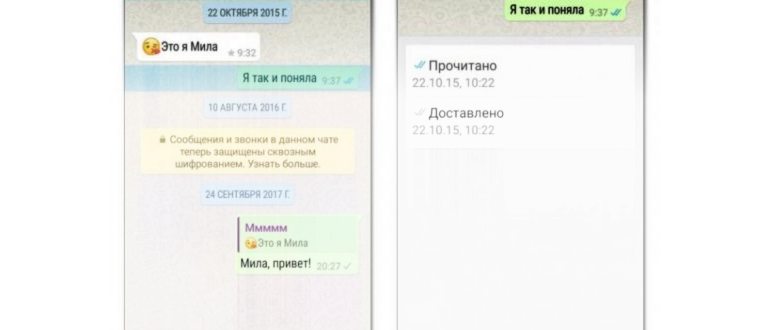 статус
