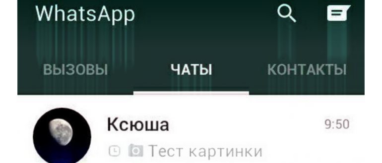 чат