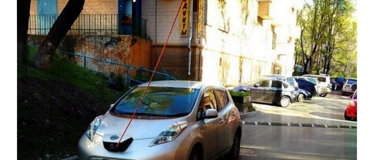 Эта птица гораздо опаснее, чем кажется: вот почему