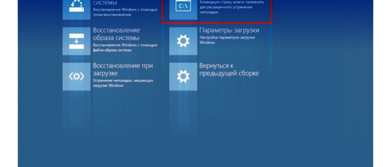 Выполнить
