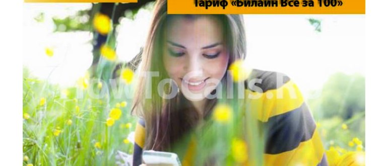 Тариф «Все за 100» от Билайн - описание тарифа,