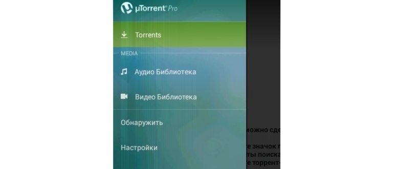 Как скачивать через торрент на Android + лучшие