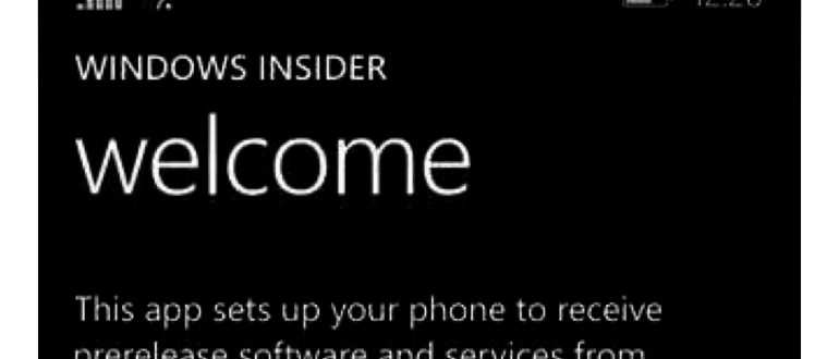 Установка Windows Phone на Android.
