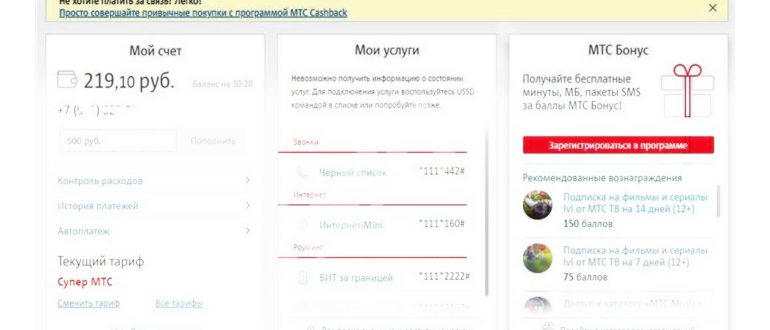 Интерфейс платежного терминала для пополнения