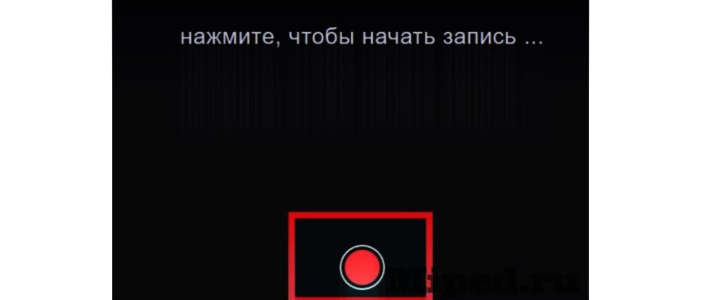 експорт в