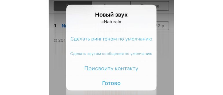 раздел Моя