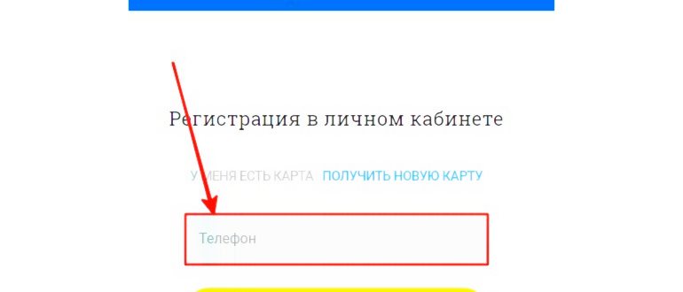 Как пользоваться Wallet на Айфоне: