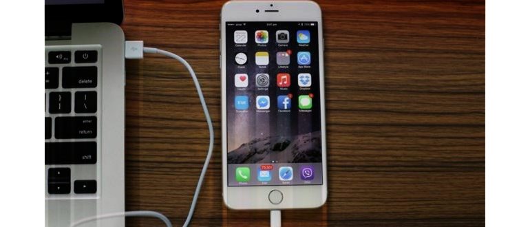 Cydia