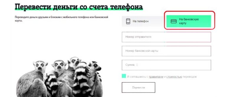 как делится гигабайтами на