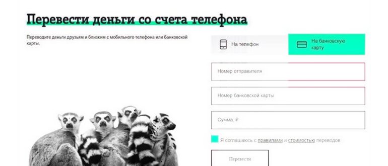 5 рабочих способов перевести деньги со счета Теле2