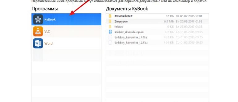 Как читать книги на iPhone через