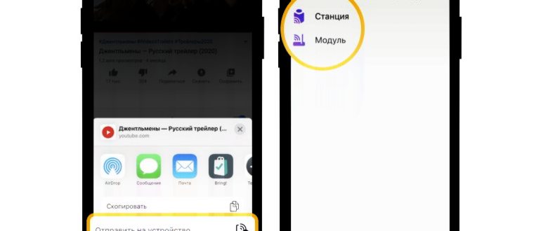 «Зебра в клеточку. Яркие дни».