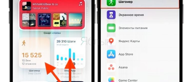 шагомер