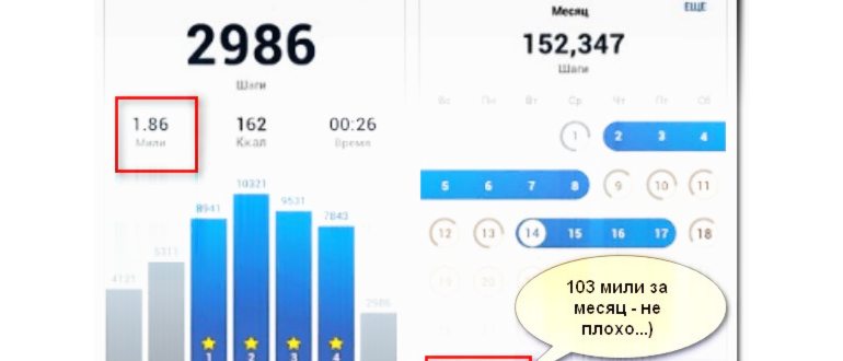 Как настроить виджет шагомера на рабочем столе