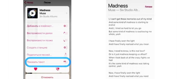 Lyrics Library для