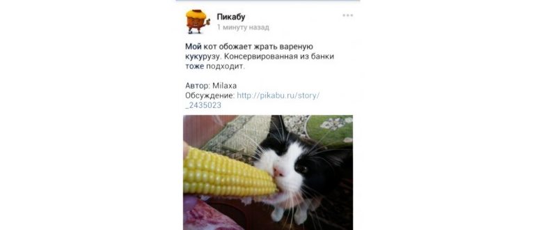 VOKS