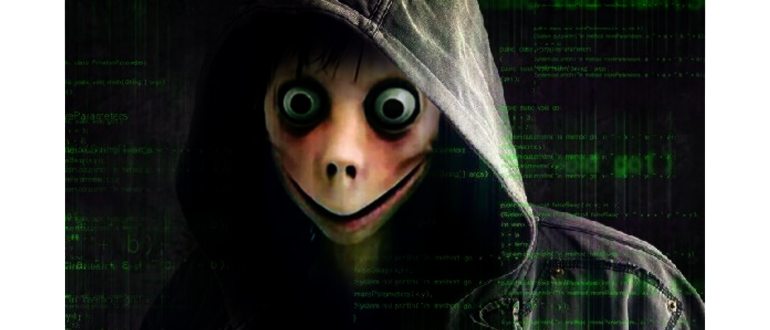 Номер бота Момо WhatsApp не отвечает: куда пропал