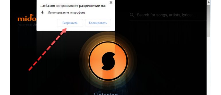 Результаты поиска в