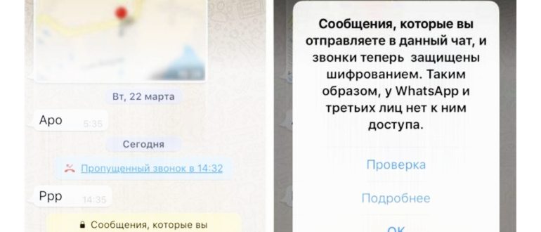 бот в