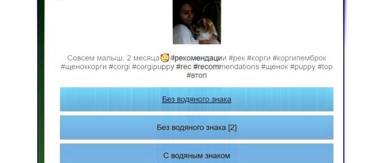 Telegram bot