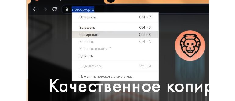 гугл поиск телефон