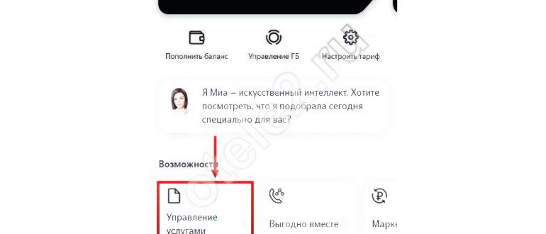 Как подключить услугу «СМС-свобода» на