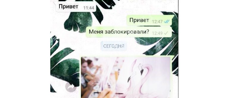 Как синхронизировать WhatsApp с