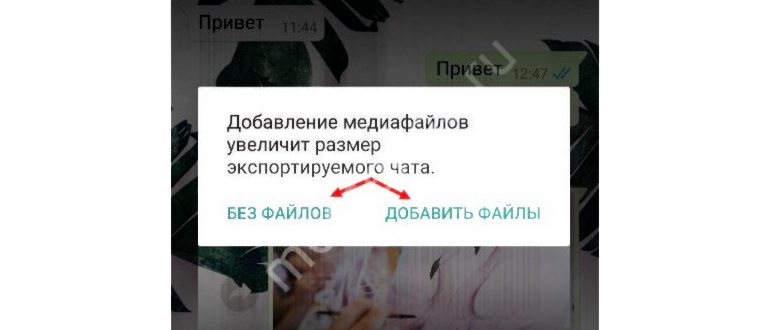 Как пользоваться WhatsApp на компьютере без