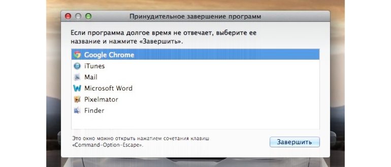 wp
