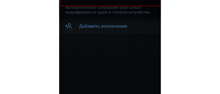 Инструкция для включения на iPhone, iPod touch и