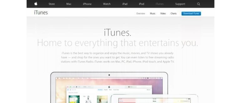 Инструкция: как установить программу на iphone