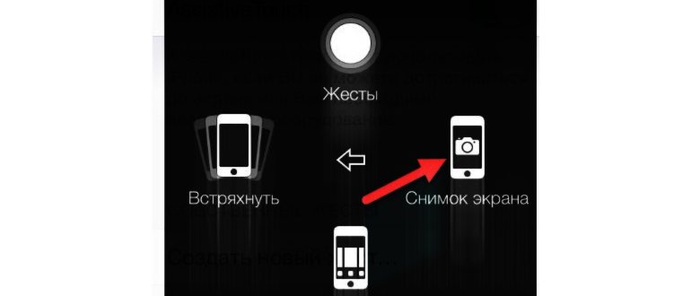 рассказываем где найти и как пользоваться
