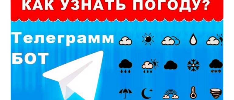 Где хранятся файлы в