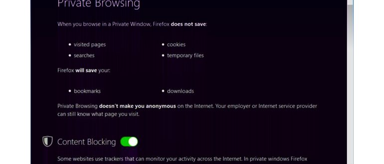 Как включить инкогнито в браузере Mozilla Firefox?