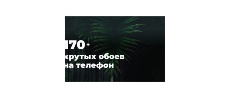 обои внутренности