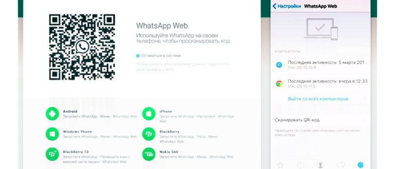 Когда и почему появляется статус в сети в WhatsApp