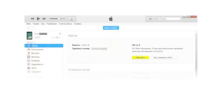 iPad