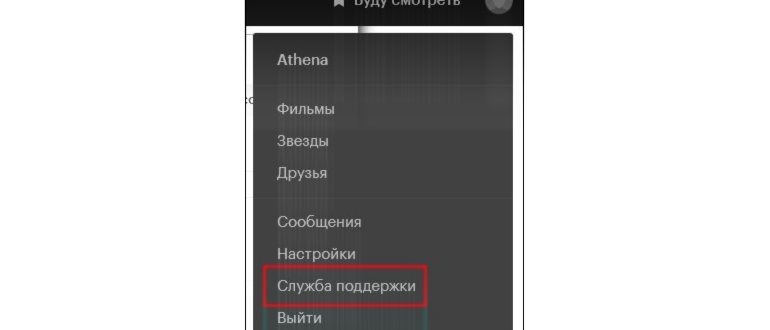 Опция службы