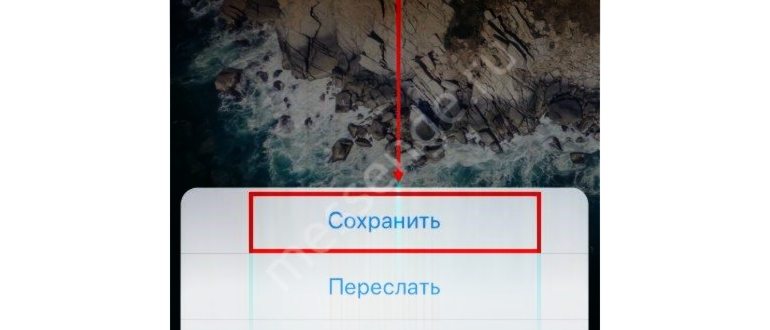 Данные и