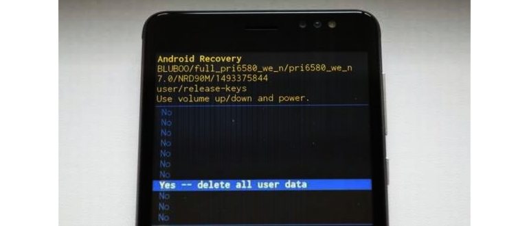 Recovery