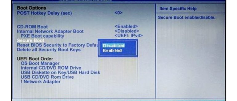 bios,компьютеров,компьютера,настройках,windows