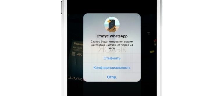 Что такое статус в