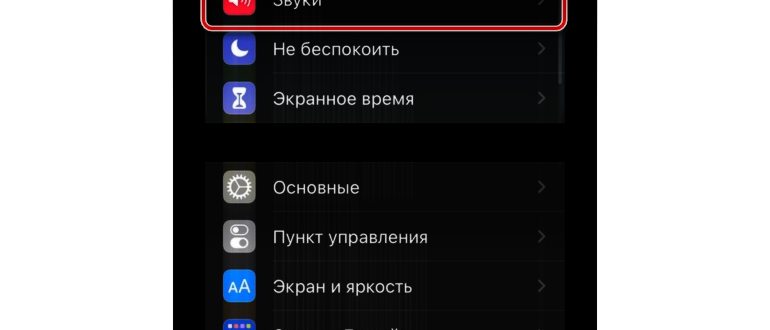 Раздел