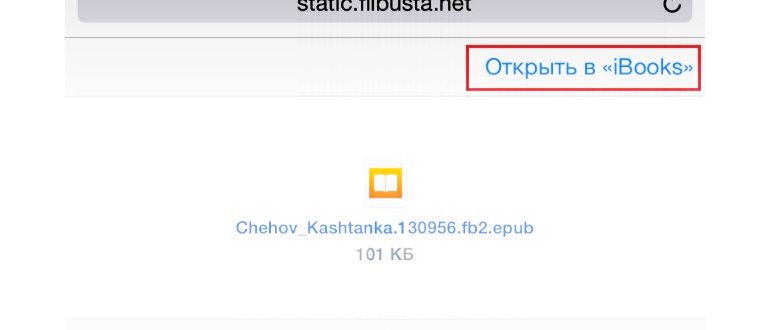 Как читать книги на iPhone через