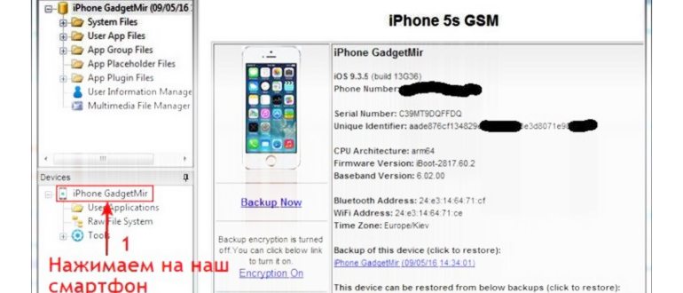 Apple21_1