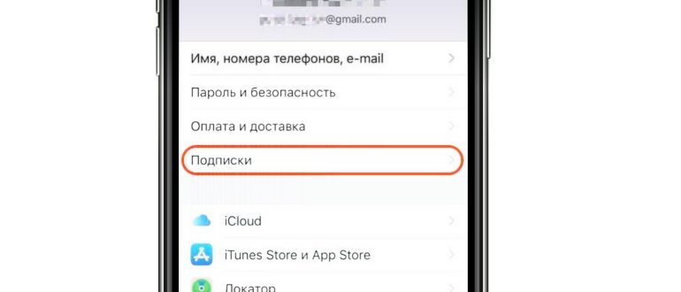 Как просмотреть платные подписки на айфоне 10 и